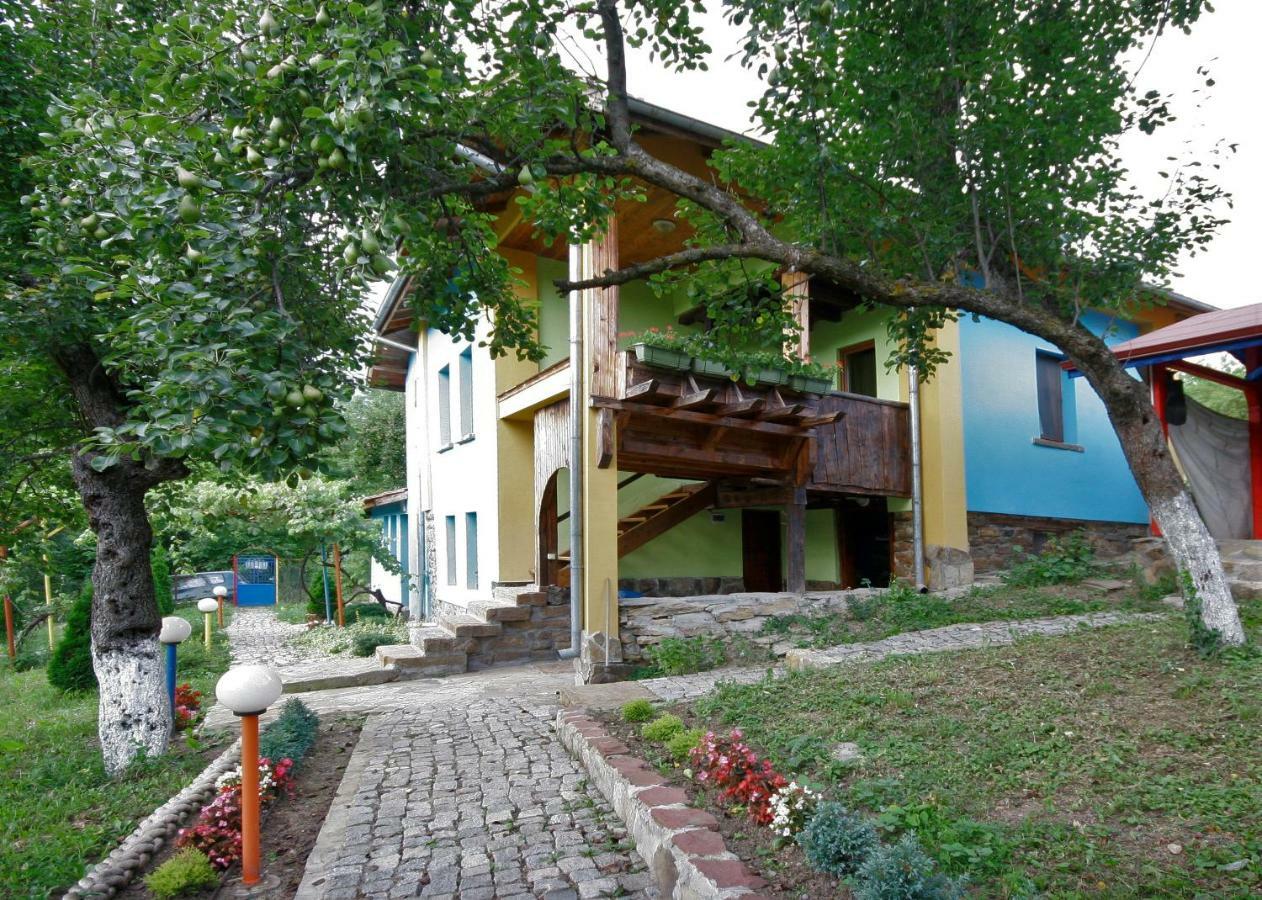 Chuchi Guest House 1 Zlatna Panega Exterior photo